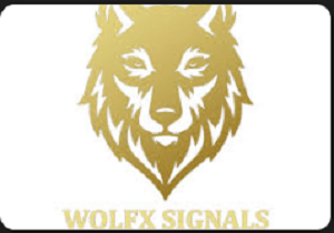 Wolfxsignals