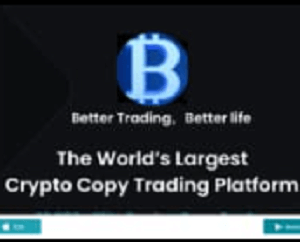 Bitfsg