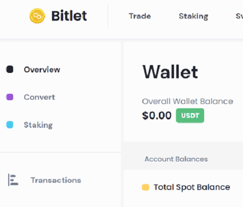 Bitlet