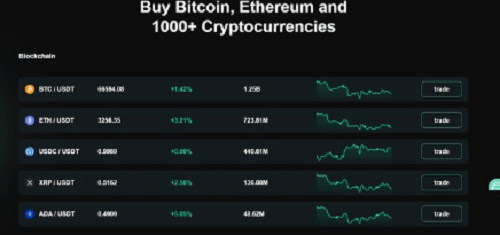 Xexbit