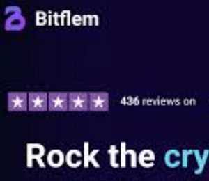 Bitflem