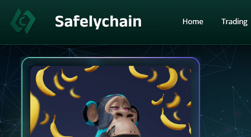 Safelychain.com