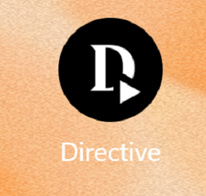 Directiveex.com