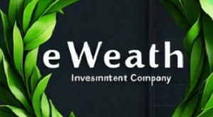 Ewealth-investment