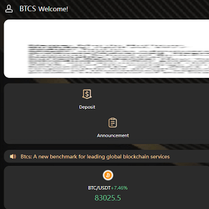 Btcspace.info