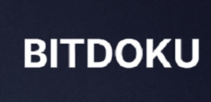 Bitdoku