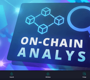 Onchainusr.com