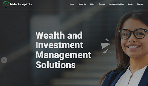 Trident-capitals.com