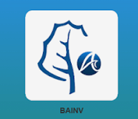 BAINV