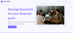 Velardigitalfinancials