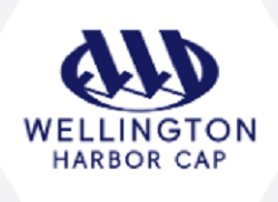 Wellington Harbor Cap